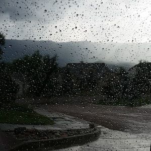 Meet your Posher, Sedona